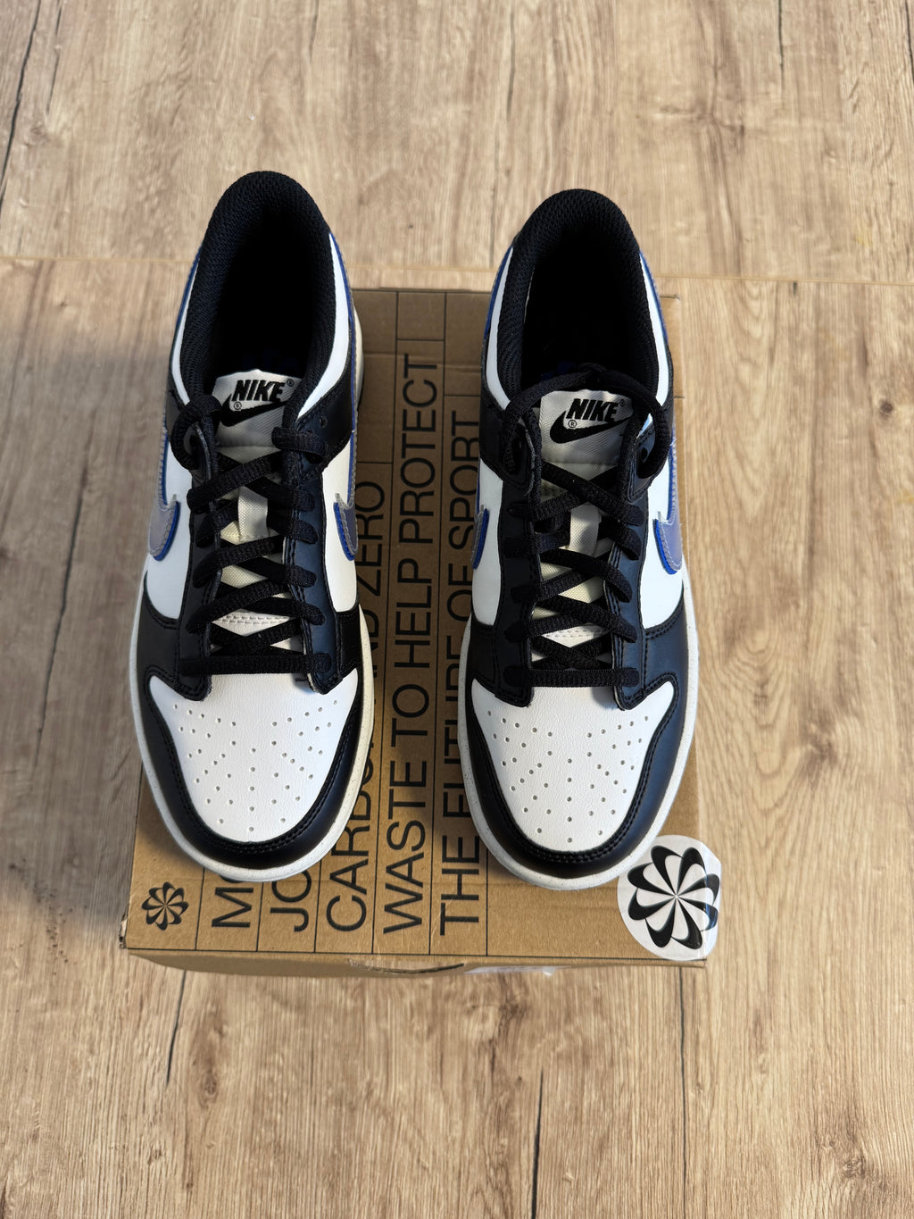 Nike Dunk Low Next Nature 'TPU Swoosh' (GS)
