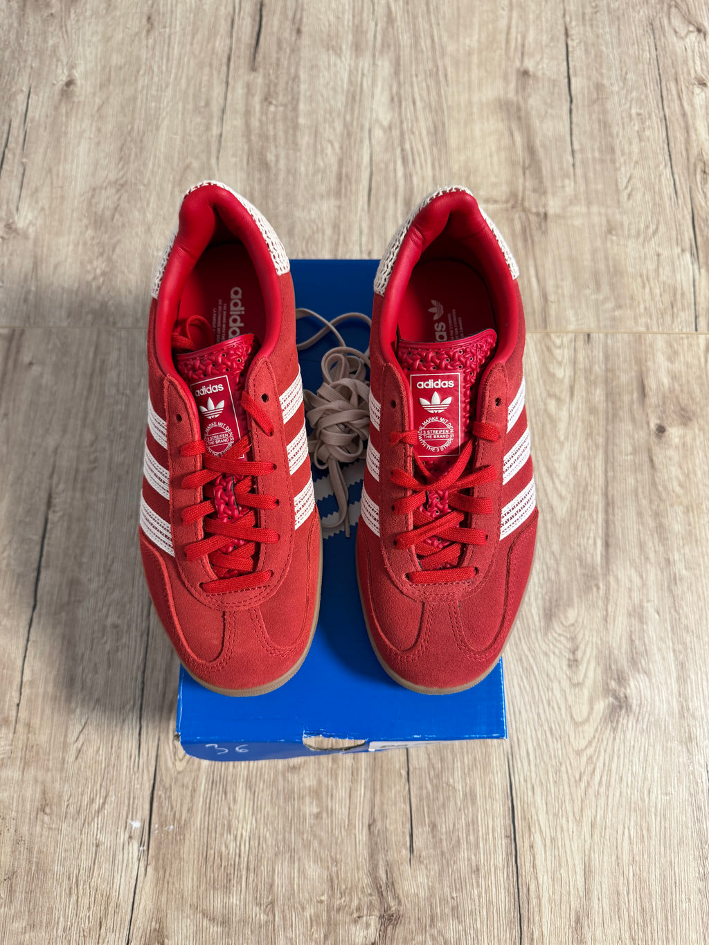 Gazelle Indoor Better Scarlet Wonder White Gum