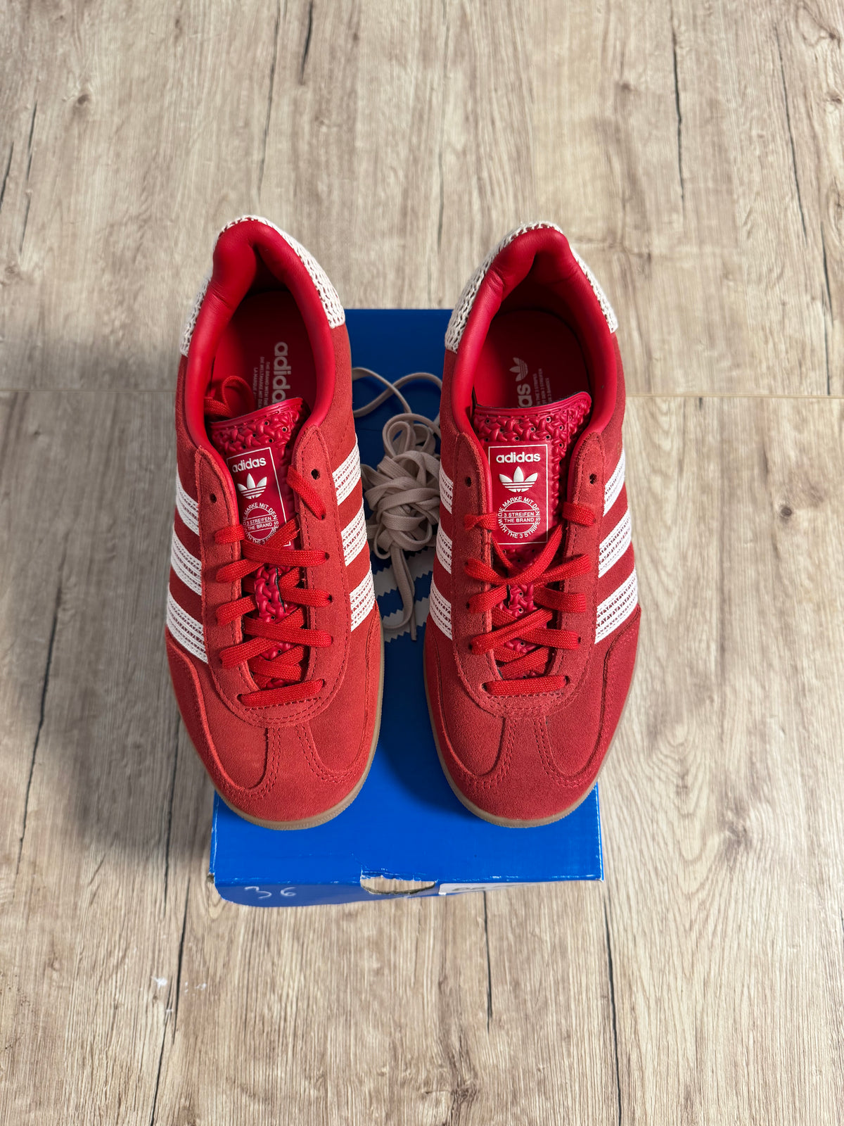 Gazelle Indoor Better Scarlet Wonder White Gum