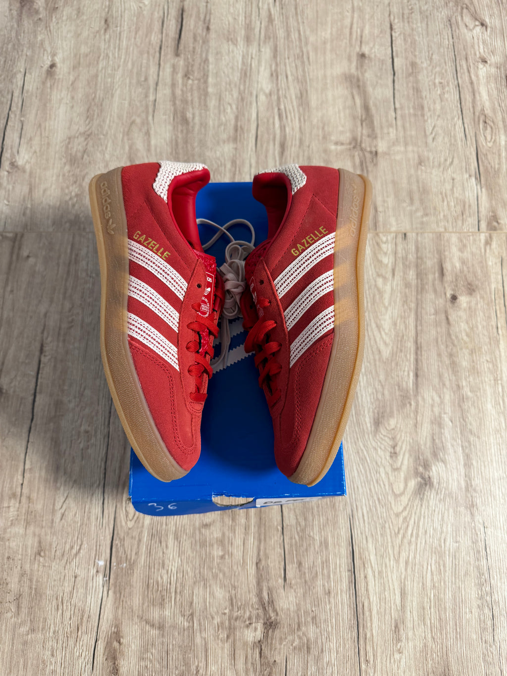Gazelle Indoor Better Scarlet Wonder White Gum
