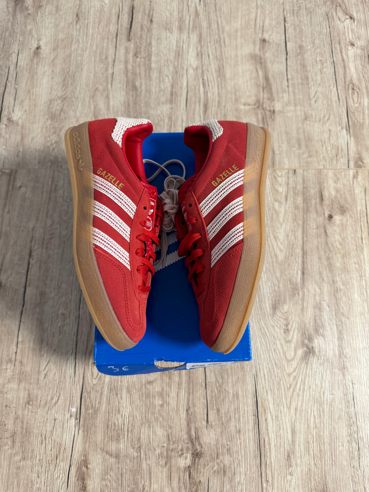 Gazelle Indoor Better Scarlet Wonder White Gum