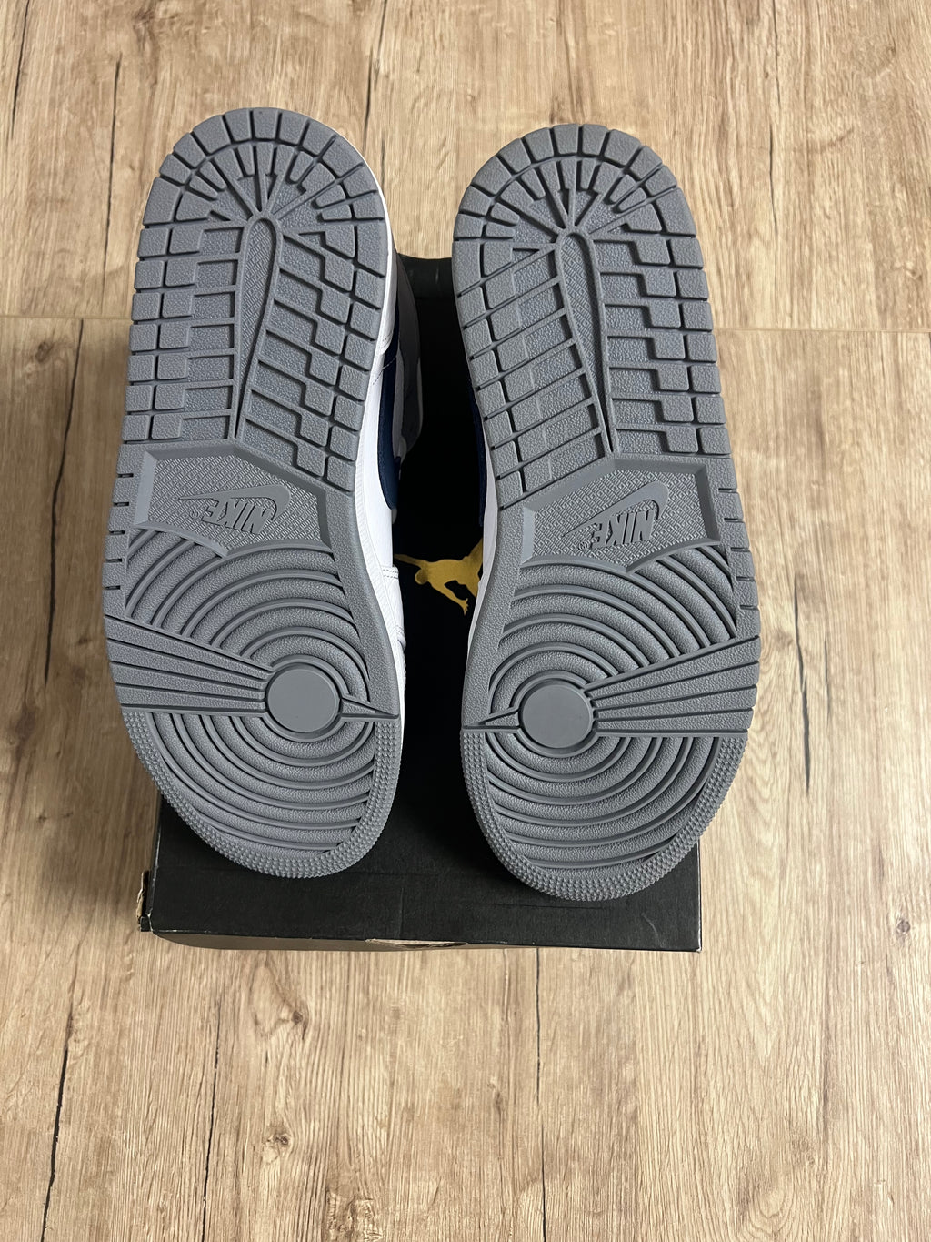 Air Jordan 1 Mid Paris