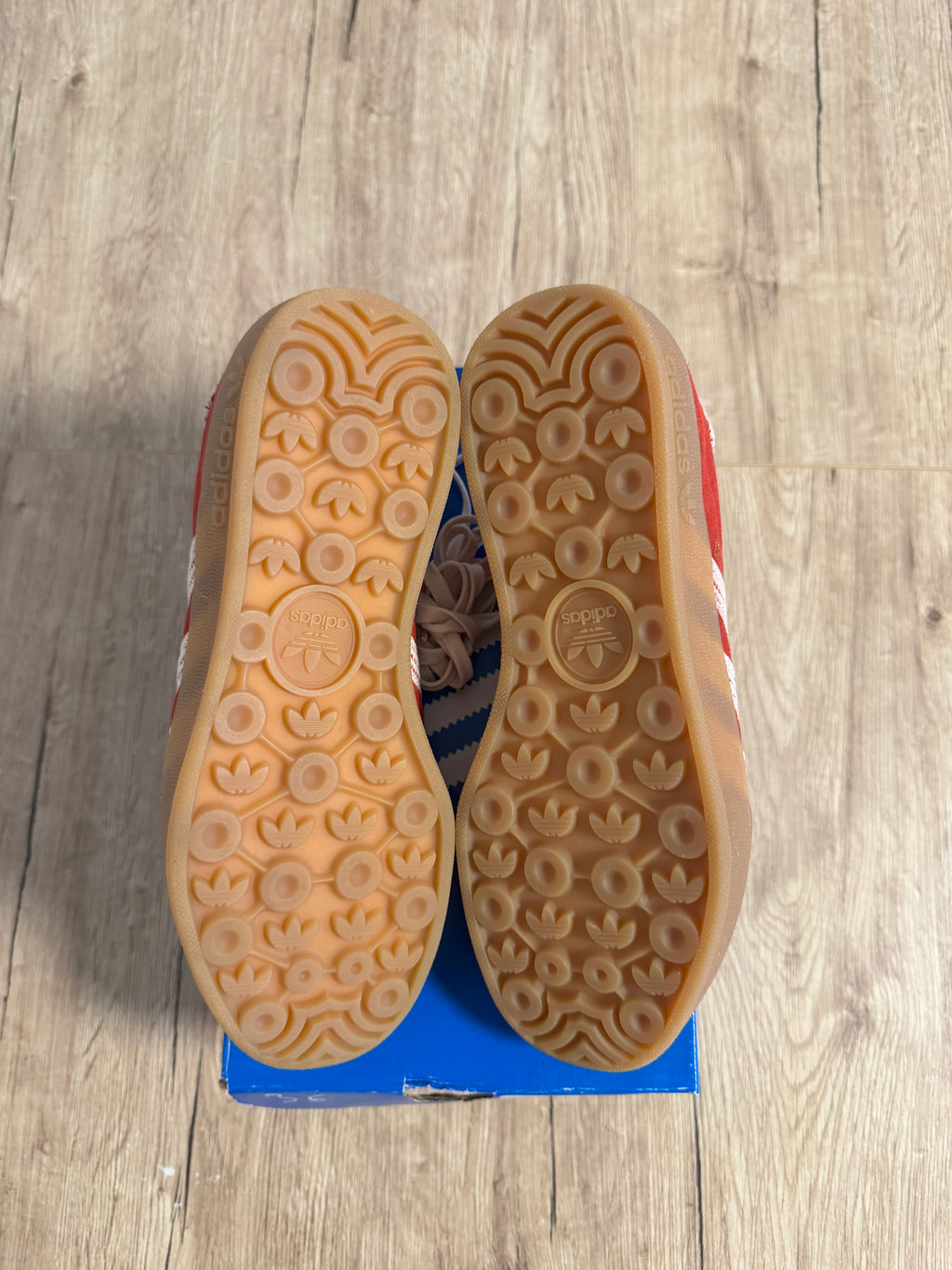 Gazelle Indoor Better Scarlet Wonder White Gum